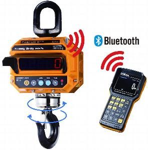 Весы крановые Cas 15 THD TWN (15т/5кг) IP65 электронные