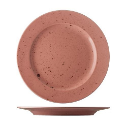 Купить тарелка мелкая 28см, серия lifestyle, цвет terracotta lst2128 – цена от завода, доставка до двери | RuOborudovanie.ru