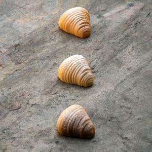 Форма силиконовая Pavoflex для пирож. 3D "Sfogliatella" 45Х43,5ММ H22Мм, 20мл, 30 ячеек, силикон Px4