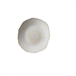 Купить тарелка мелкая 26см, керамика, цвет perle, plume 960895 – цена от завода, доставка до двери | RuOborudovanie.ru