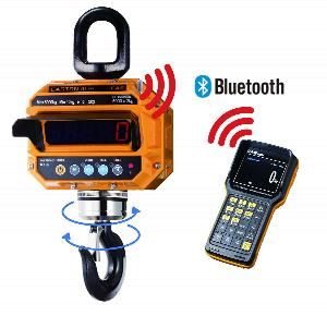 Весы крановые Cas 20 THD TWN (20т/10кг) IP65 электронные